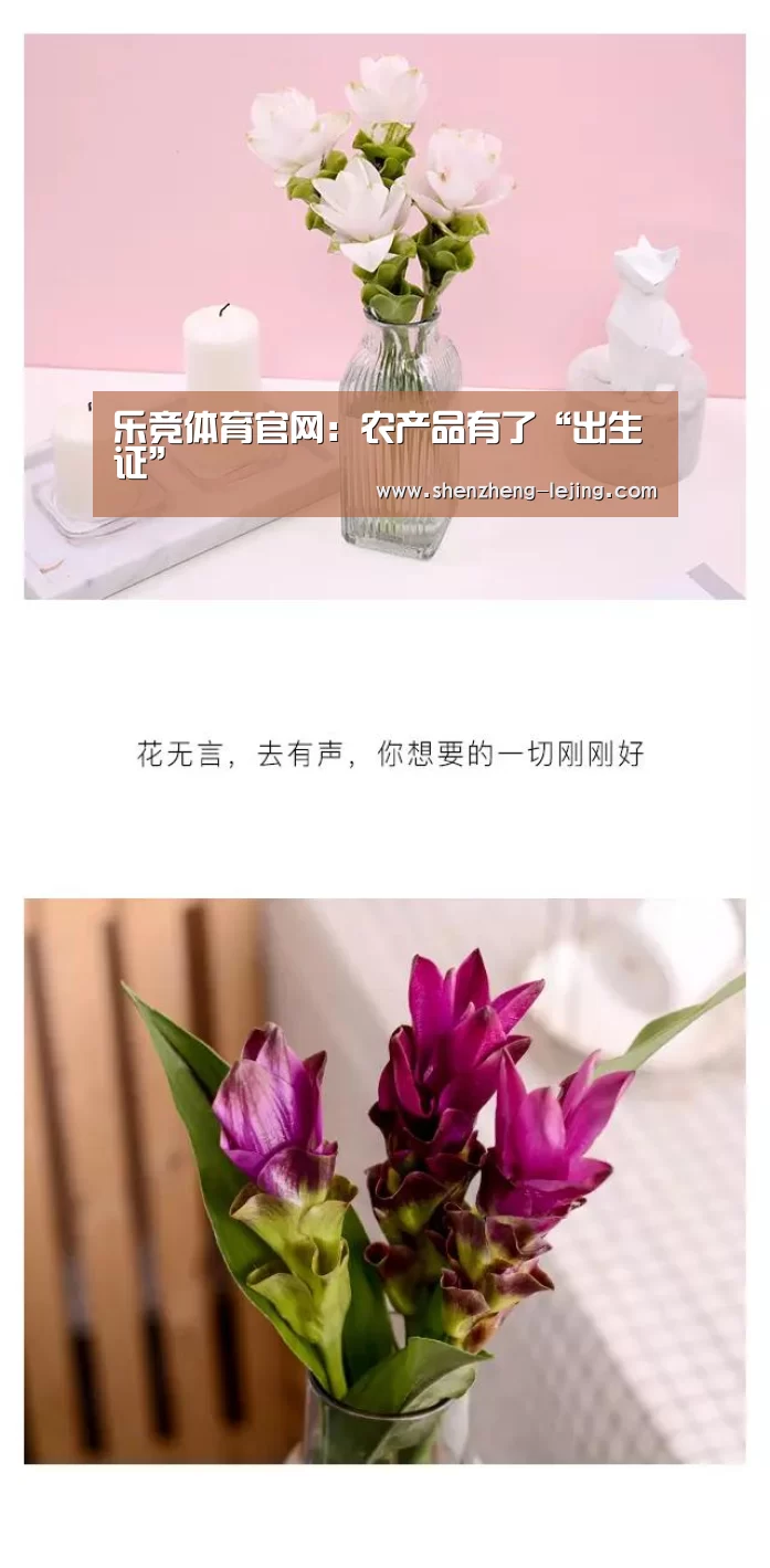 乐竞体育官网:农产品有了“出生证”(图2) 乐竞体育app
