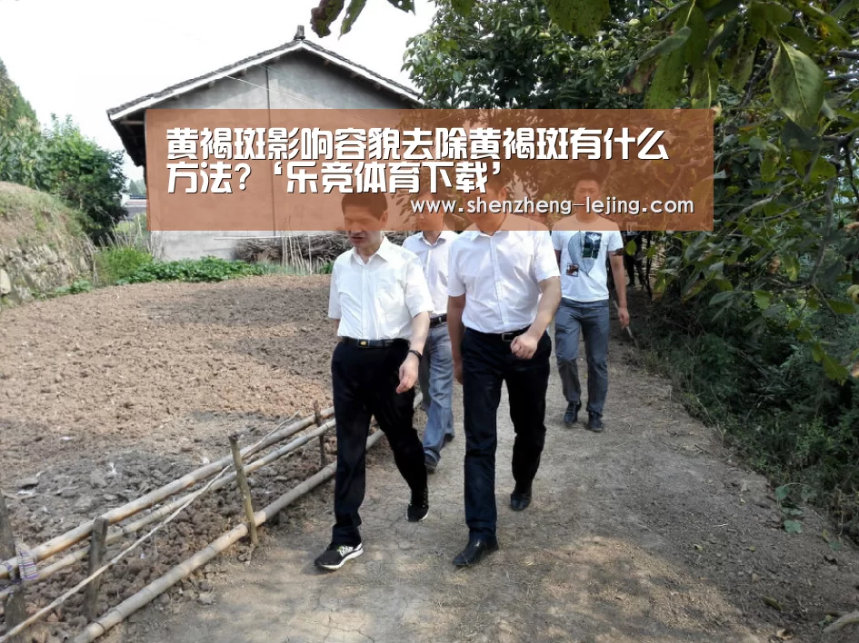 乐竞体育app