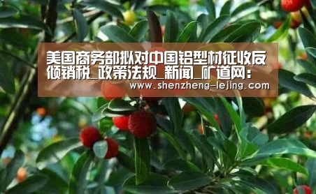 乐竞体育下载