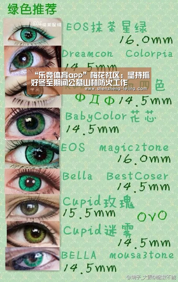 “乐竞体育app”梅花社区:坚持抓好冬至期间公墓山林防火工作(图4) 乐竞体育平台